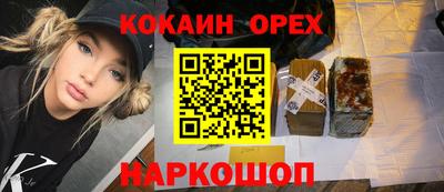 сатива Кингисепп