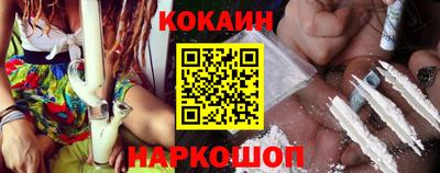 сатива Кингисепп