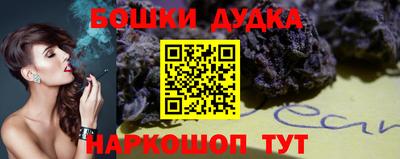 сатива Кингисепп