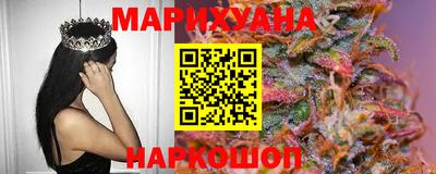 сатива Кингисепп