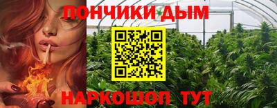 сатива Кингисепп