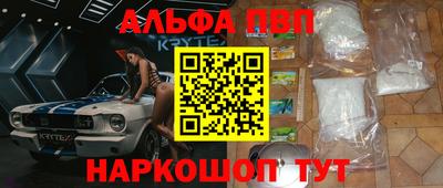сатива Кингисепп