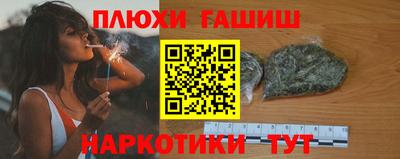сатива Кингисепп