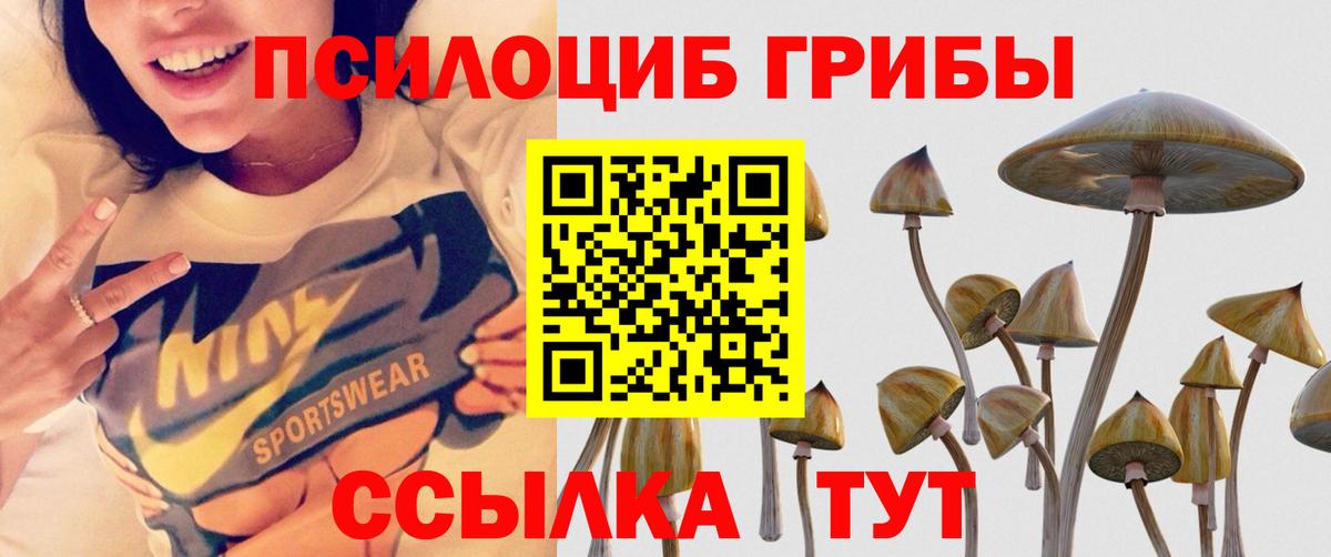 Псилоцибиновые грибы мухоморы Киселёвск